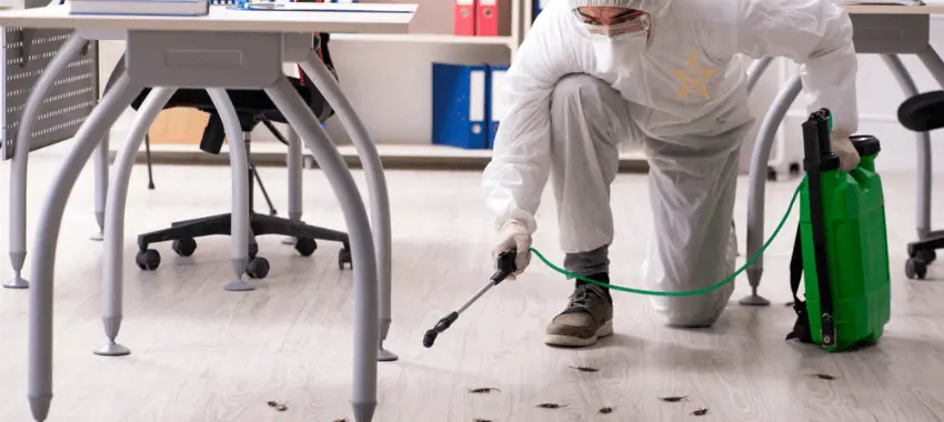 pest control 3rd