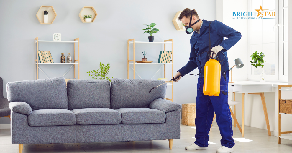 How Much Is Pest Control Service Abu Dhabi? [2025 Data]