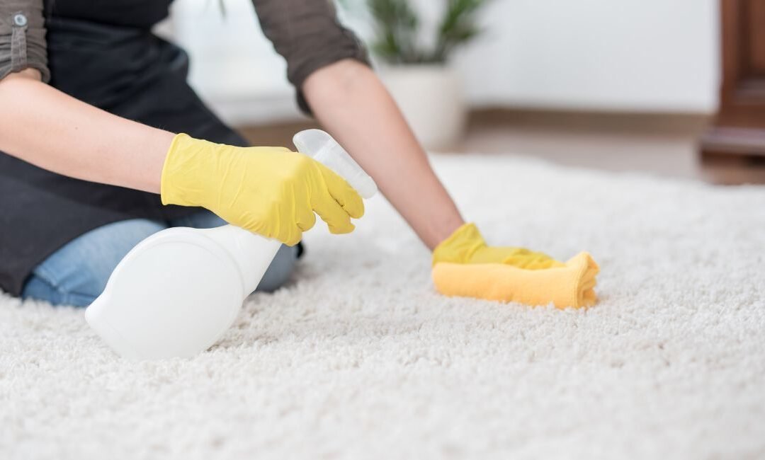 How To Clean Carpet At Home