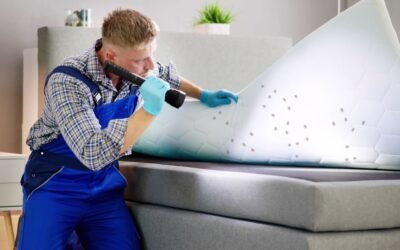 How To Remove Bed Bugs From Mattress : Complete Guide For 2026