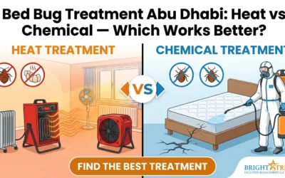 Bed bug treatment Abu Dhabi: heat vs chemical — which works better?