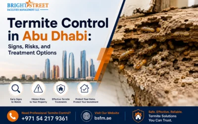 Termite Control in Abu Dhabi: Signs, Risks, and Treatment Options