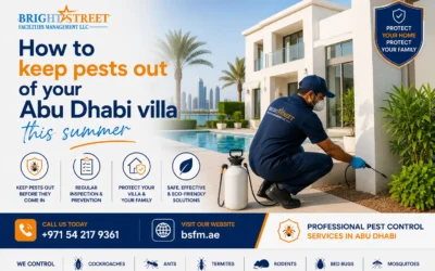 How to Keep Pests Out of Your Abu Dhabi Villa This Summer